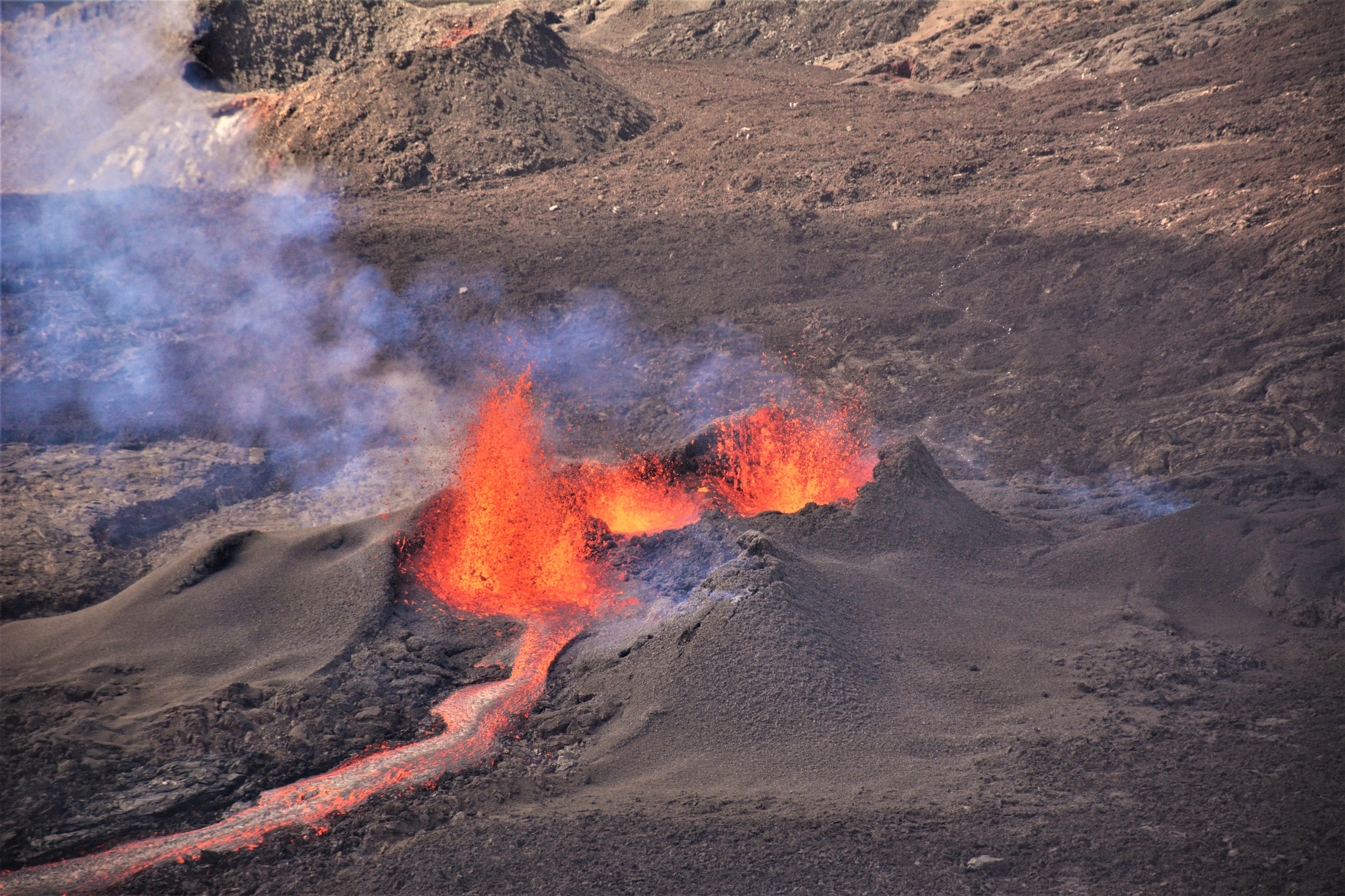 Cette image a un attribut alt vide ; le nom du fichier est dsc_0888-3-min.jpg
